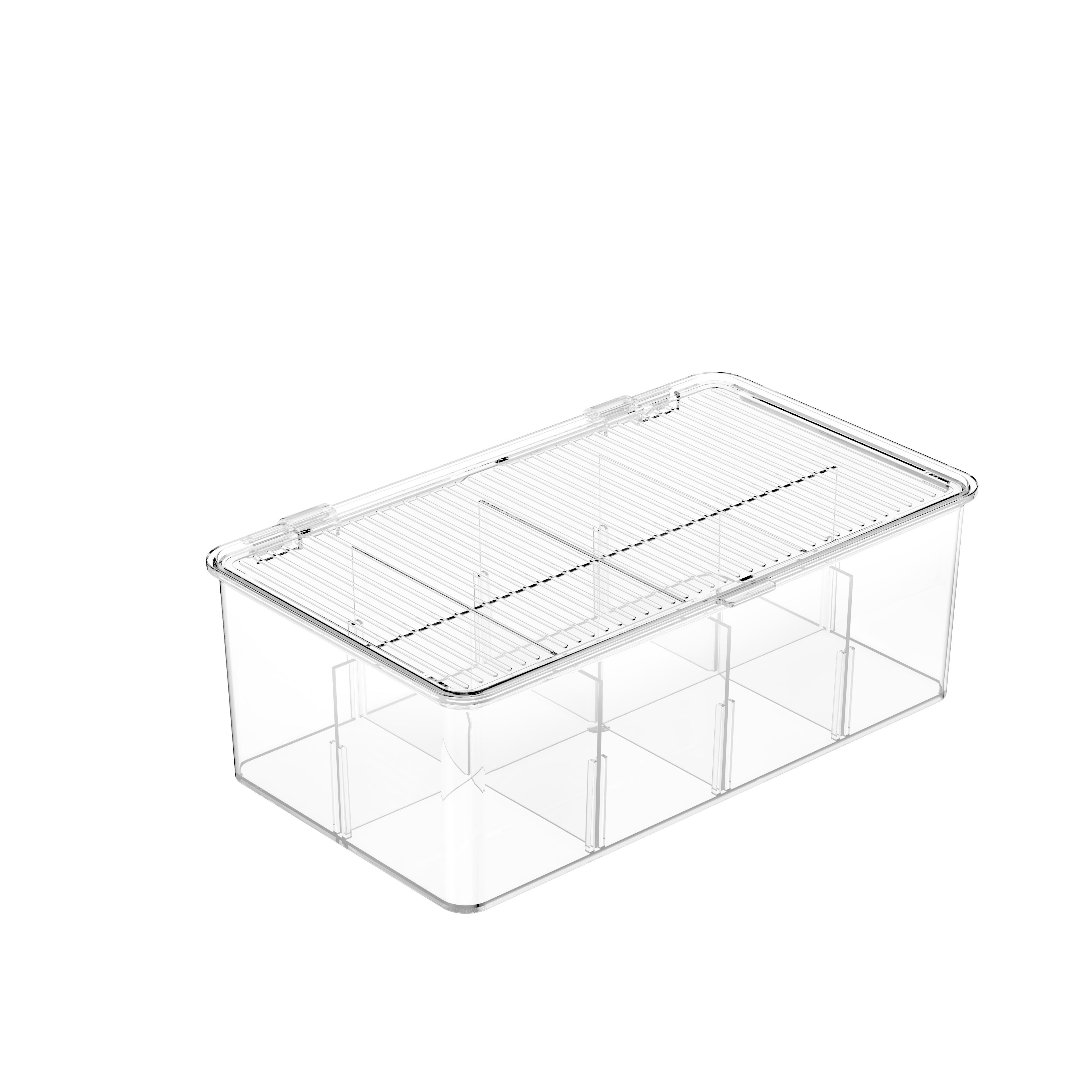 Transparente Speicher- und Organisationsbox mit einem Deckel